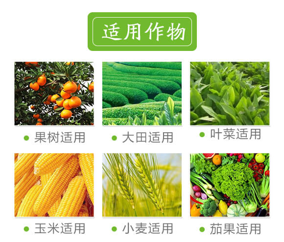 礦源黃腐酸鉀-黑色革命-愛農(nóng)斯達_07