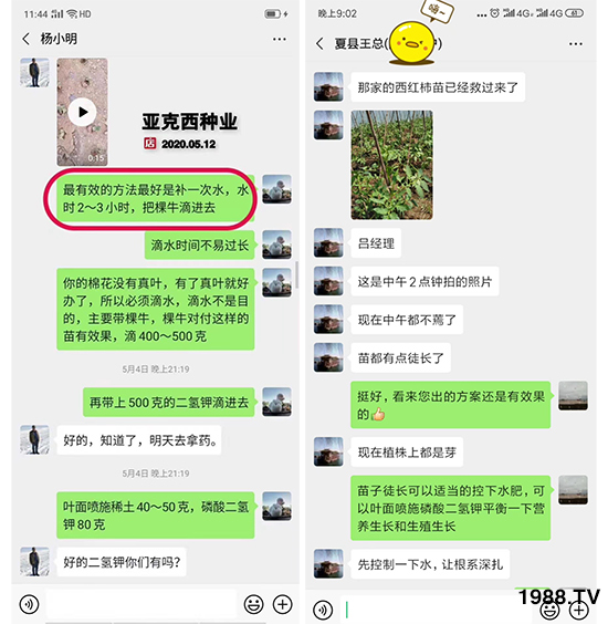 如何讓種植變得更輕松?一個(gè)套餐,全面配方,巴斯特大姜營(yíng)養(yǎng)套餐方案!