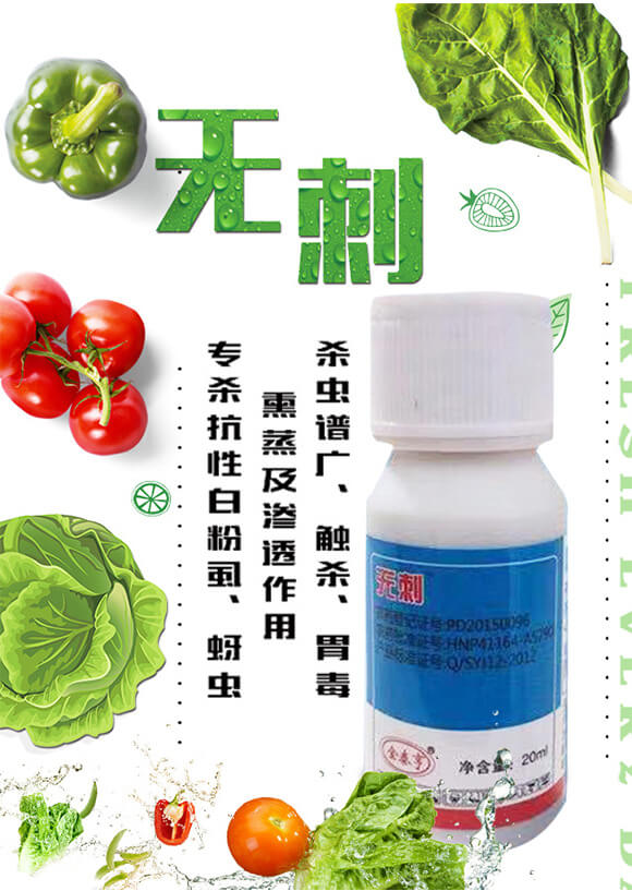 �o��-��̩��_01