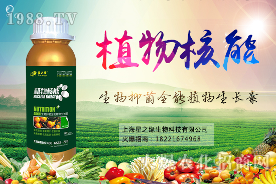 夏季果樹(shù)水肥管理