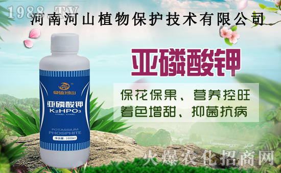 小麥政策加碼!扎堆賣(mài)糧!2020年8月14日小麥價(jià)格行情!