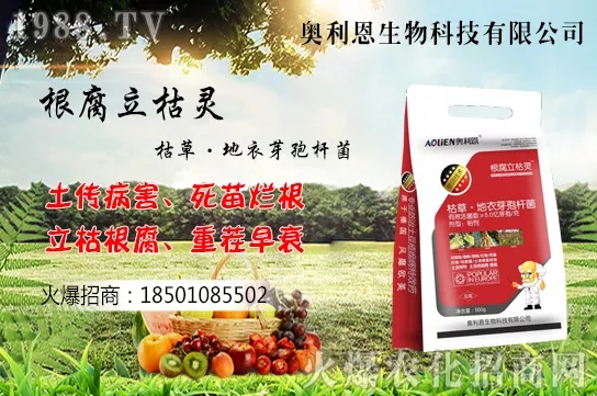 �S����ʲô����(ji��)�������S���˷Nֲ������B��