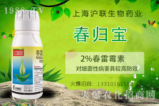 春雷霉素能防治什么病害?春雷霉素的作用機(jī)理及使用注意事項(xiàng)!