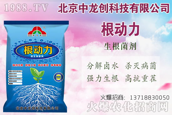 白蘿卜的需肥特性有哪些,白蘿卜施肥技術要點!