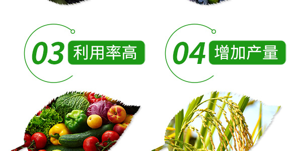 生物拌種劑（姜蒜薯）-強農生物_07