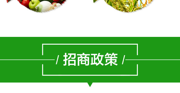 生物拌種劑（姜蒜薯）-強農生物_08