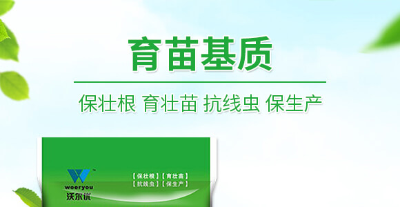 50L|-֠(yu)_01
