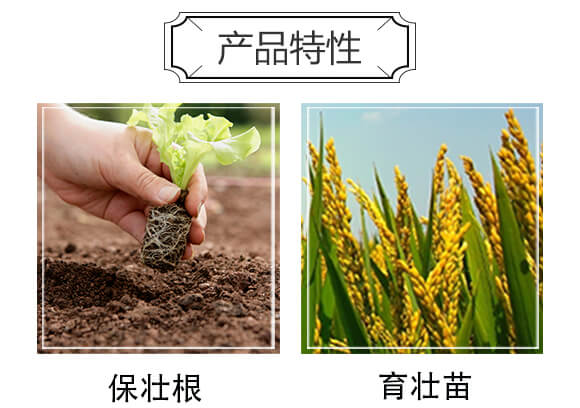 50L|-֠(yu)_04