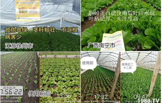 水溶肥市場大變革?海藻精、魚蛋白將被它代替!1000多用戶鼎力推薦!