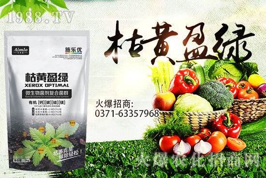 十月即將到來,麥價(jià)能漲多少?9月29日小麥價(jià)格走勢!
