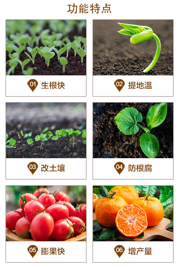 �������̼-�f������_03