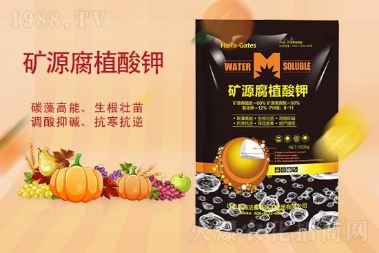 ⛷ʃr��ƽ��(w��n)��2021��10��13��⛷ʃr��