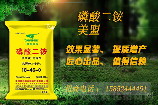 磷銨是漲還是跌?10月16日磷銨價格行情
