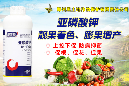 2021��12��18�Շ�(gu��)��(n��i)���@�r(ji��)������