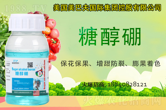 ���յ��ȶ����Xһ�2021�굾�ȃr(ji��)���Ƿ�߀��(hu��)�q��