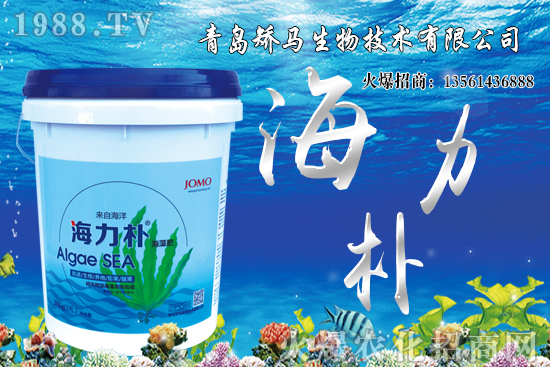 ѩ����r������Xһ����2021��Nֲѩ����ٍ�X����