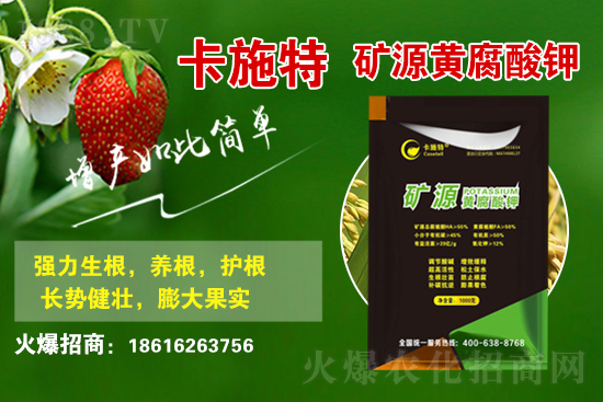 ���ջ����r������Xһ����2021��3��19�ջ����r������