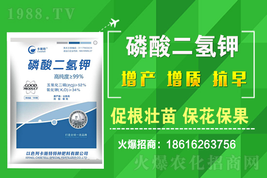 ���˷Nֲ��Ҫע����Щ���}�����˷Nֲԓ��ôʩ����