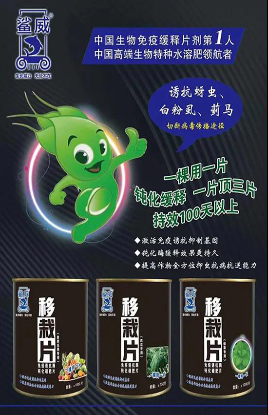 作物移栽時,怎么做能有效避免蟲害呢?