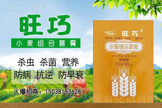 小麥價格