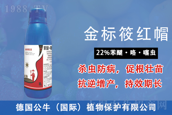 �׾����������r���߄�