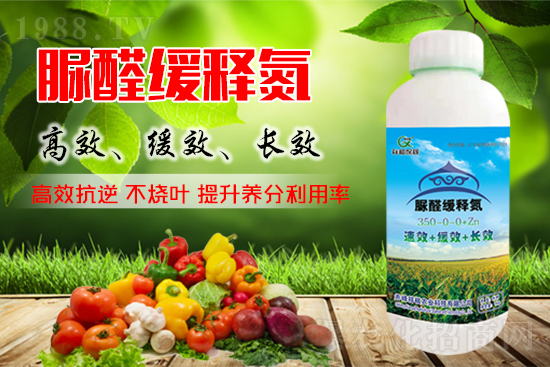 ���؃r(ji��)���½���2021.9.27���؃r(ji��)���(b��o)�r(ji��)