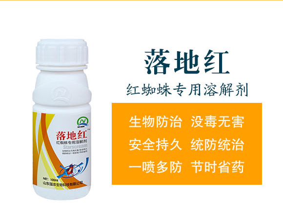 ��ؼt-���r(n��ng)_02