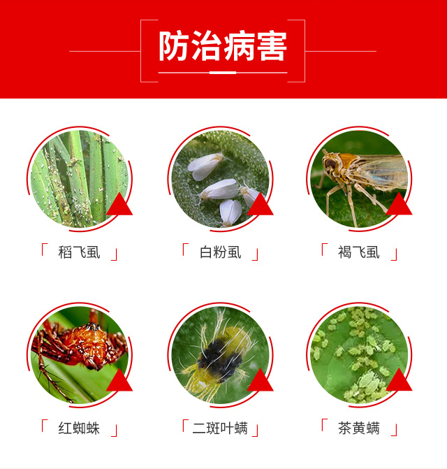 ��(qi��ng)�r(n��ng)��������-��(qi��ng)�r(n��ng)_04