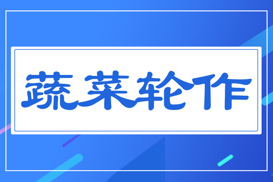 蔬菜輪作