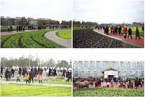 �ذ������ߌóɶ��N�I(y��)���[�����n11��18��