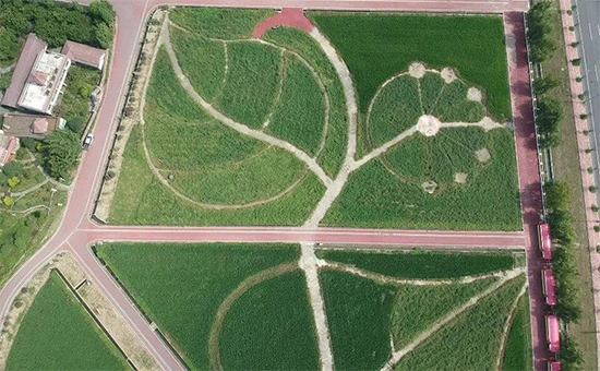 �ذ������ߌóɶ��N�I(y��)���[�����n11��18��