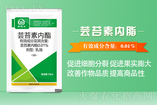 �M���S����