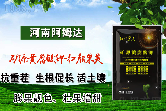 鉀肥價(jià)格上漲!2022.3.8國(guó)內(nèi)鉀肥價(jià)格