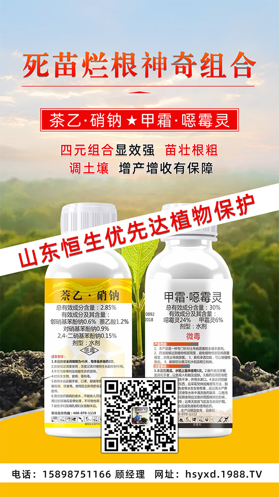 ���������������砀����������ġ�Ԫ�������@�ӷ����p�ɸ㶨��