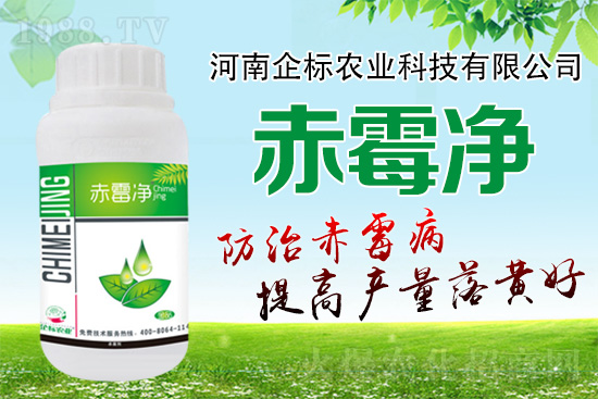 �o�����ѣ�δ��(l��i)ʮ����С����ù�������P(gu��n)�I������(w��)��ץס��