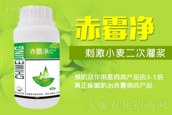 �o�����ѣ�δ��(l��i)ʮ����С����ù�������P(gu��n)�I�ڣ���(w��)��ץ����