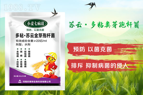 四月小麥赤霉病多發(fā)，不要錯(cuò)過防治時(shí)間！