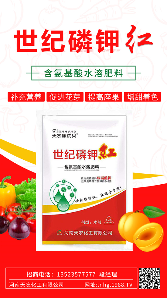 ���������ʲô���������˽����