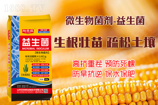 ������������Ѹ����L(zh��ng)��(sh��)��ïʢ���W(xu��)��(hu��)�@Щ�°빦����