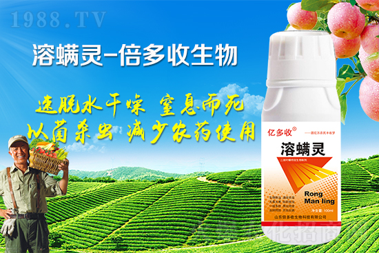 �ļ������~�����l(f��)��ô�k�������~����(y��ng)ԓ���ӷ�����