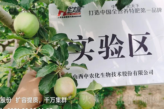 蘋(píng)果果個(gè)小是什么原因?解決對(duì)策有哪些?