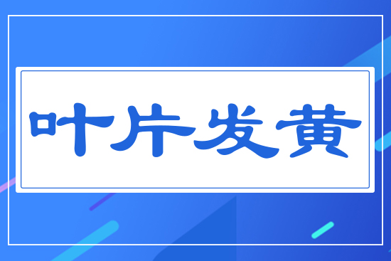 �~Ƭ�l(f��)�S