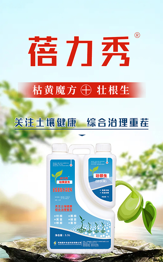 �v�S�r�I(y��)