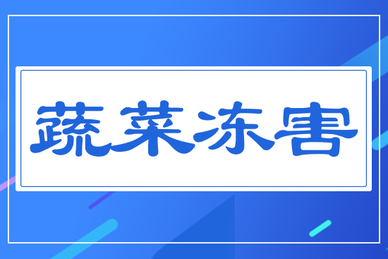 蔬菜凍害