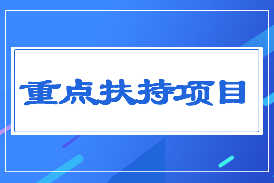 重點扶持項目