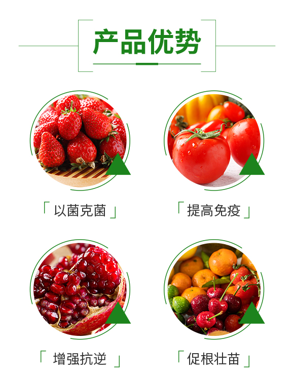 鄭州鼎來瑞農業(yè)科技有限公司_03