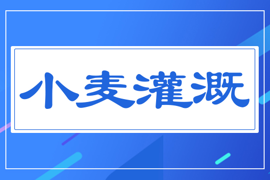 小麥灌溉