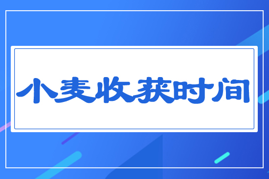 小麥?zhǔn)斋@時間