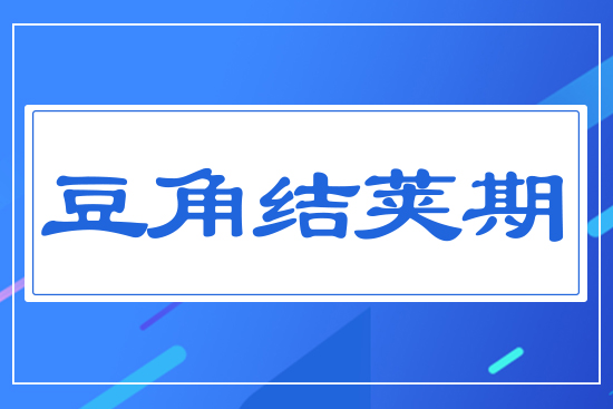 豆角結莢期