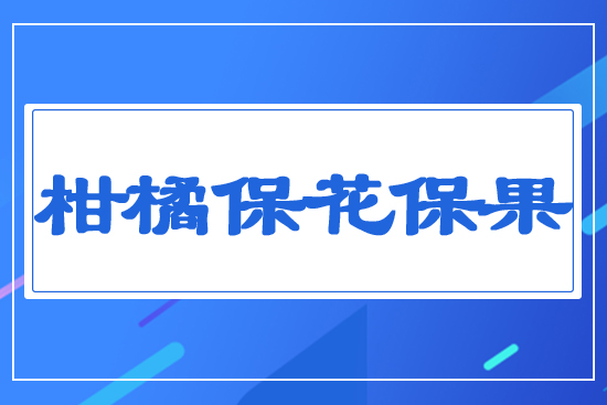 ���ٱ�������